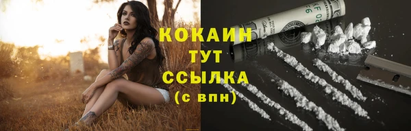 ГАЛЛЮЦИНОГЕННЫЕ ГРИБЫ Баксан