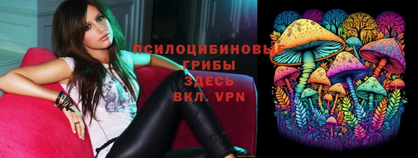 ГАЛЛЮЦИНОГЕННЫЕ ГРИБЫ Баксан