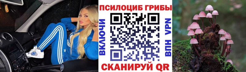Псилоцибиновые грибы MAGIC MUSHROOMS  Зеленогорск 